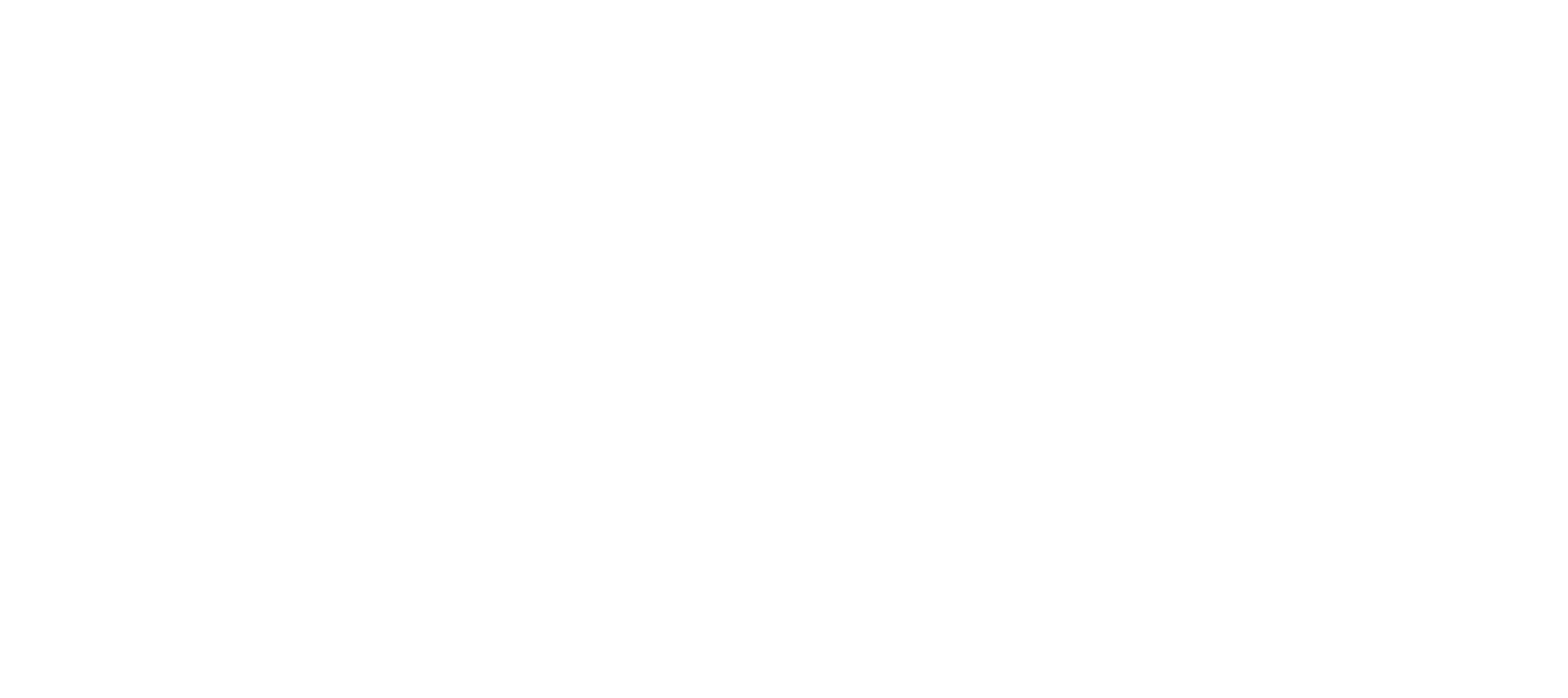 IGNA Casting Solutions